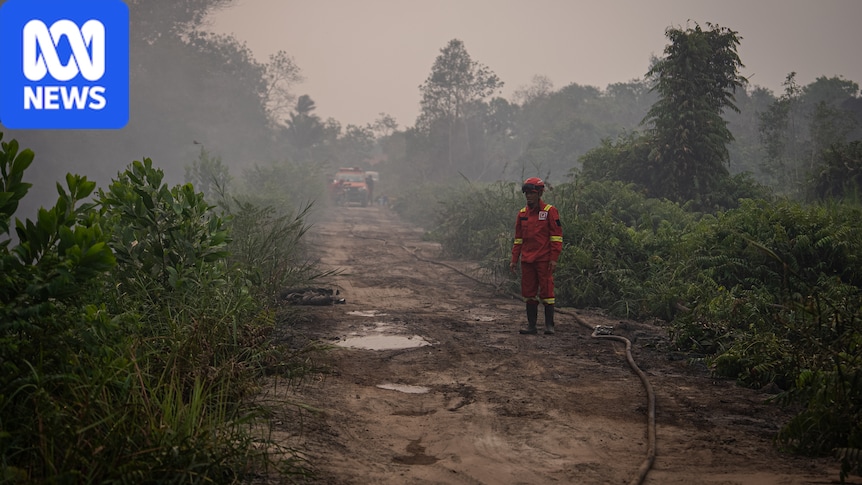 South-East Asia chokes on smog from Indonesia's wildfires