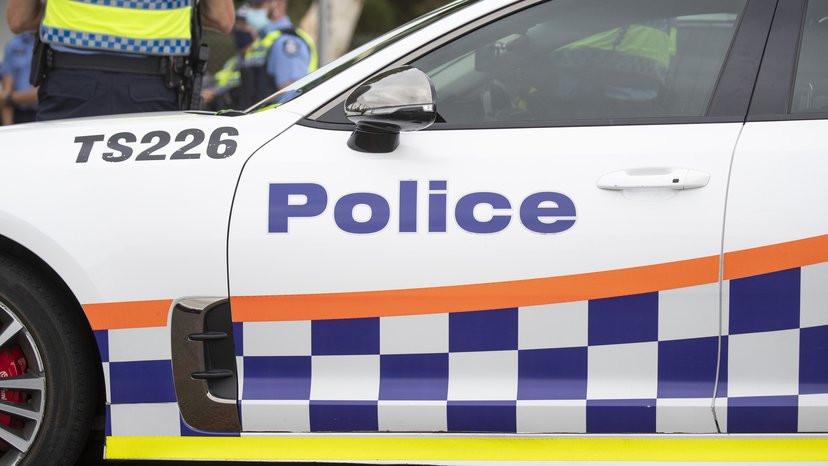 South Hedland man charged over alleged stealing and burglary, including theft of 11-week-old puppy