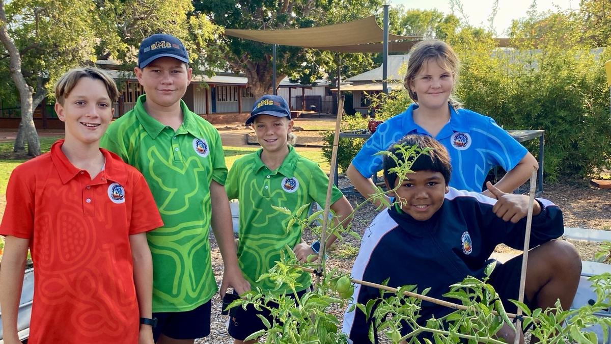 St Mary’s College wins national Kitchen Garden Award