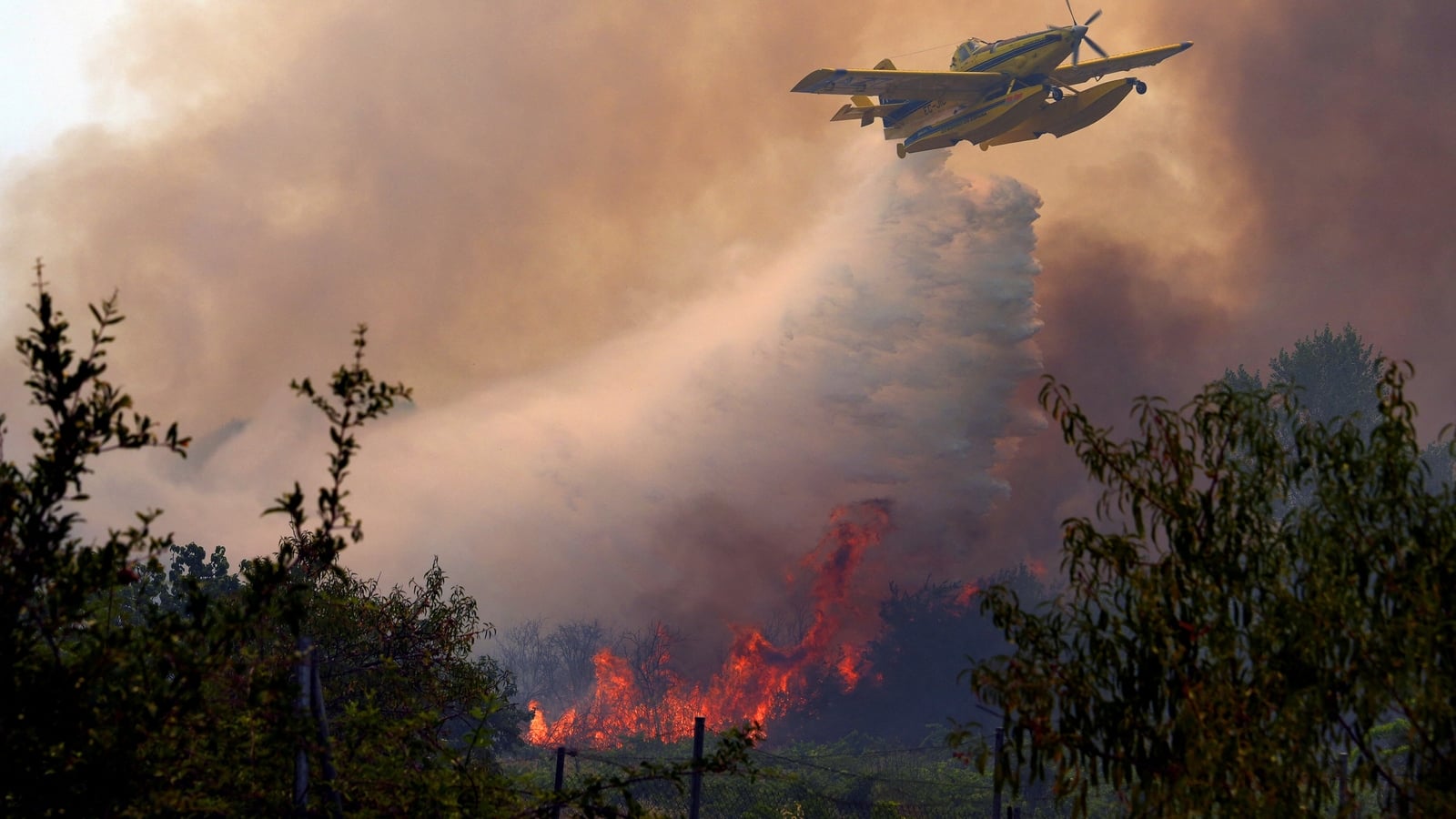 States must work together to address climate action - EU
