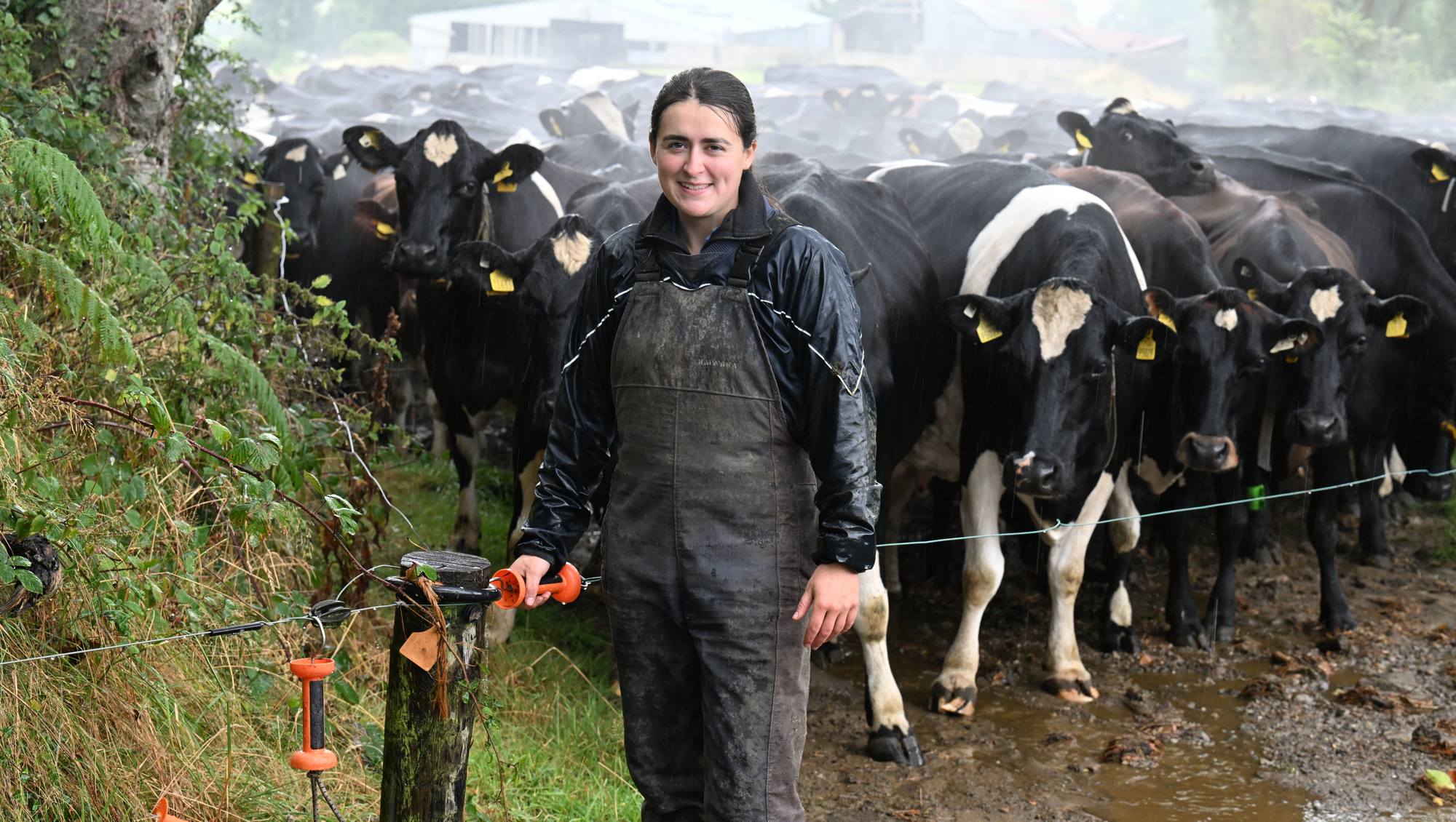 Succession: Older farmers need an exit and young farmers need a chance