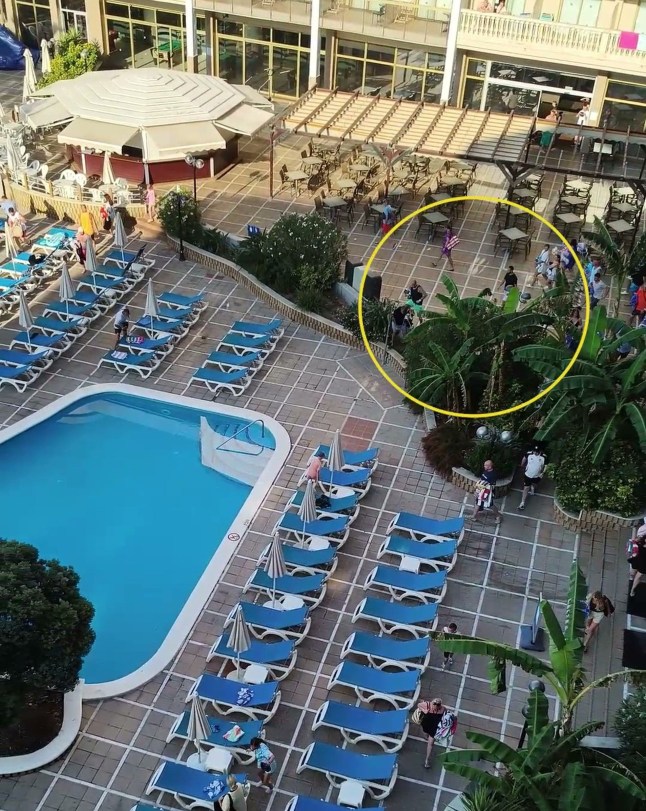 Sunbed wars take a bizarre twist after holidaymakers jump through bushes