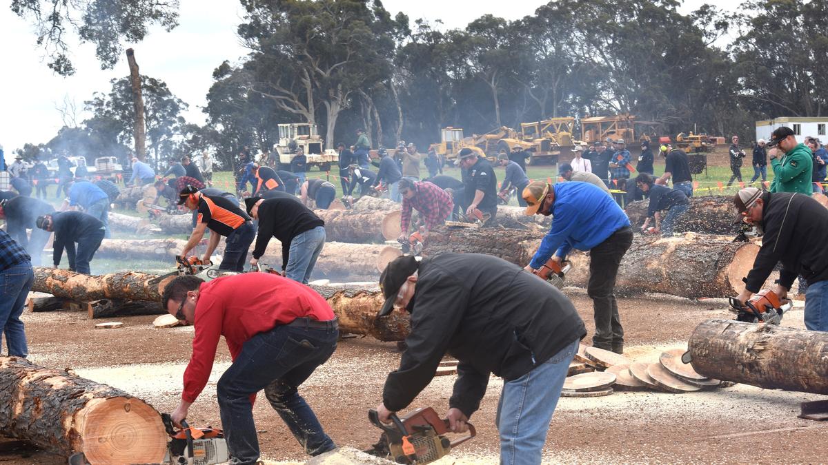 Sunnydale Vintage Day draws thousands with world record chainsaw event, auction and vintage machinery displays