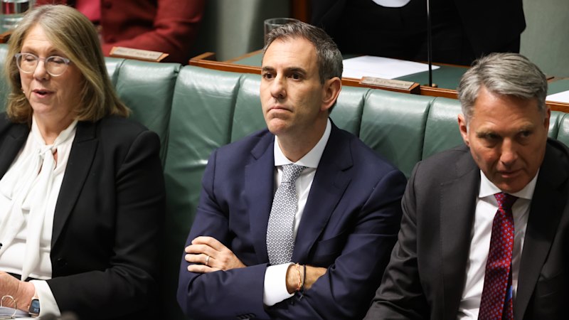Superannuation shouldn’t be untouchable, says expert: ‘People get hysterical’