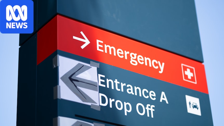 Sydney's busiest emergency departments revealed in new health data