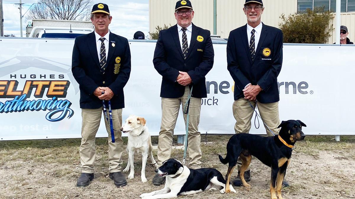 Team WA wins premier interstate sheepdog trial