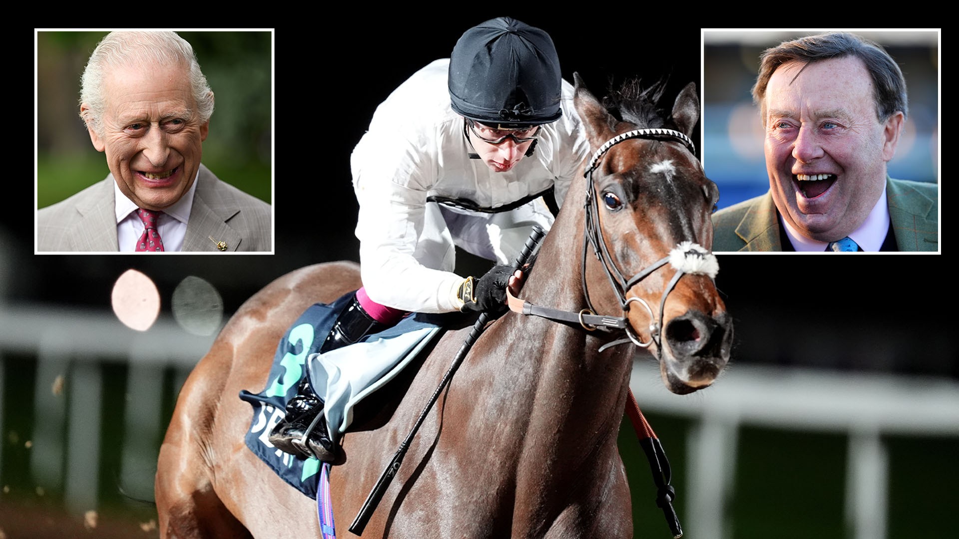 Templegate’s Constitution Hill prediction and 1-2-3 tip… with King Charles among those taking on racing’s superstar