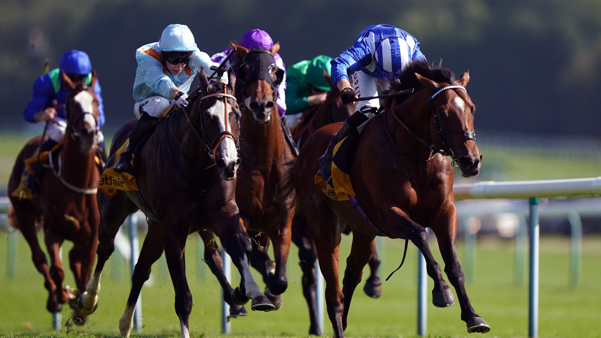 Templegate’s Tote Placepot tips for Betfair Sprint day at Haydock