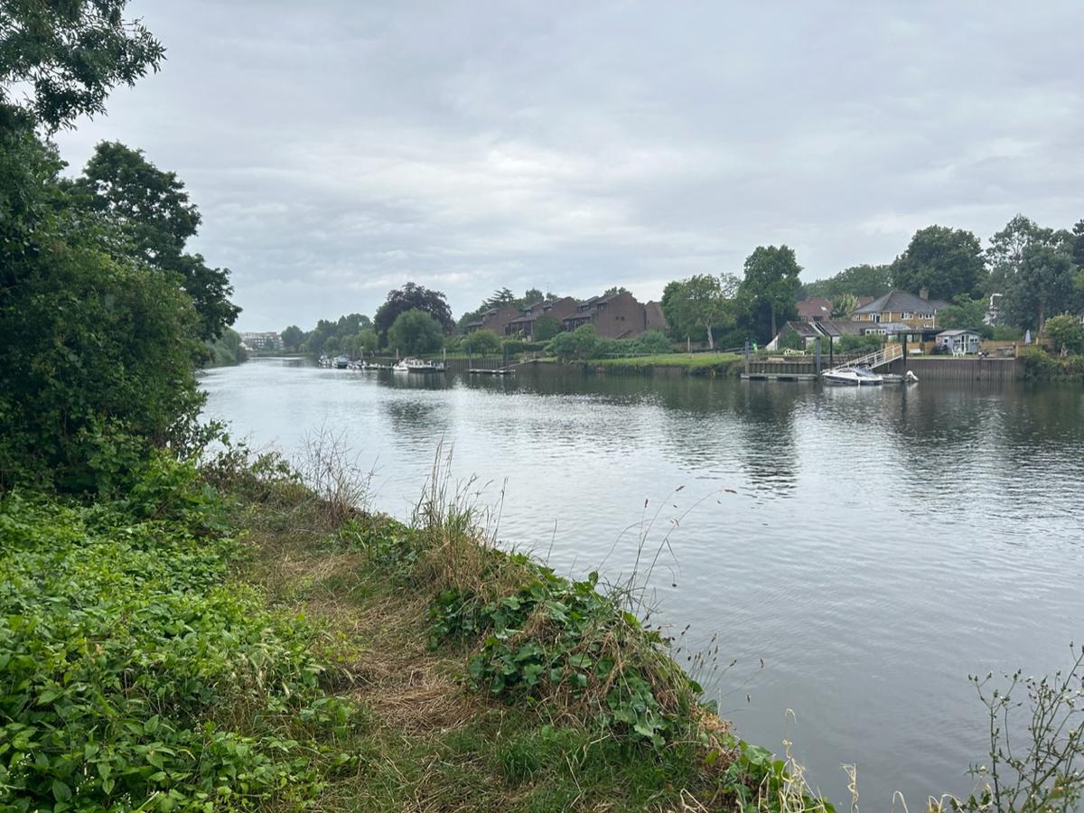 Thames Water scheme sparks row over future of popular London parkrun
