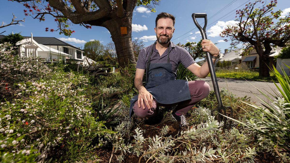 The Baileys Verge Awards: North Perth home in running to be crowned WA’s best verge
