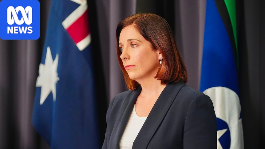 The Coalition finds voice in One Nation battle and starts new free speech fight