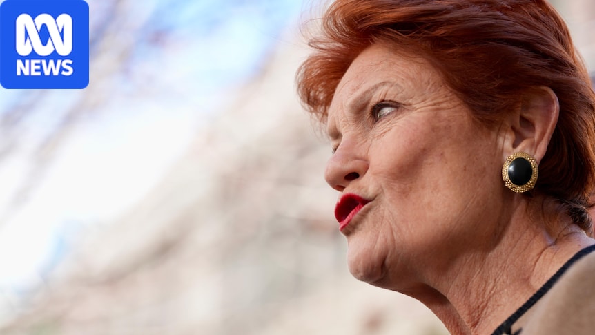 The political pile-on that could be Pauline Hanson's best weapon