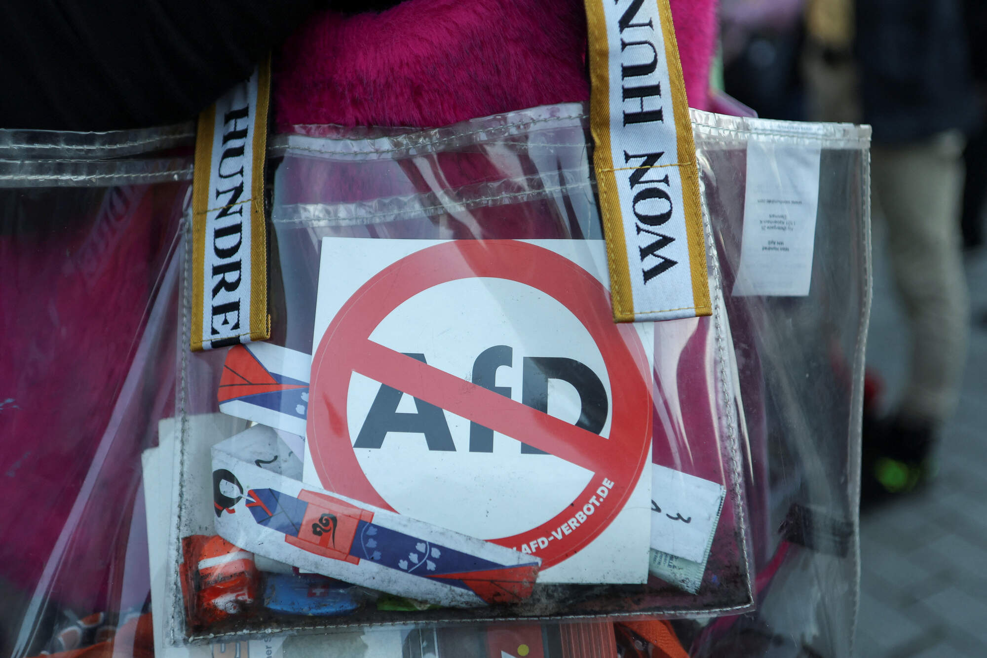 The porn star and an ex-Stasi officer: meet Germany’s AfD parliamentarians