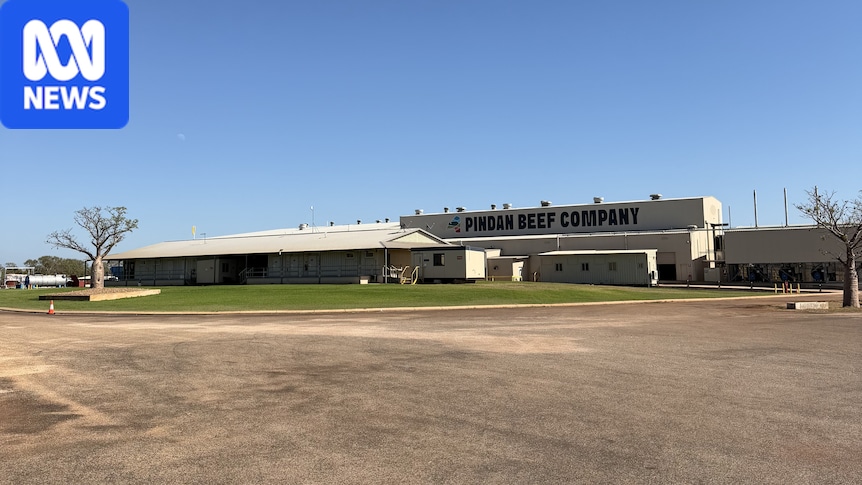 This abattoir wants to hire 60 people but just one Australian applied