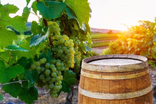 This is the reason why you’re going to be more tipsy this autumn