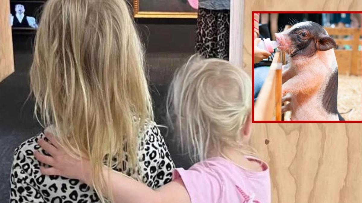 Three-year-old girl dies after contracting rare infection from petting zoo