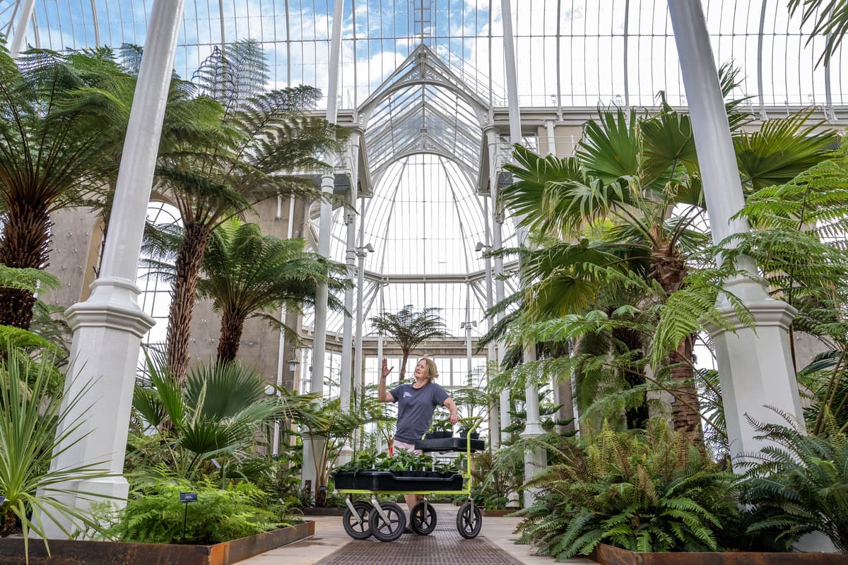 Tickets to visit Victorian Palm Houses on sale after five-year closure