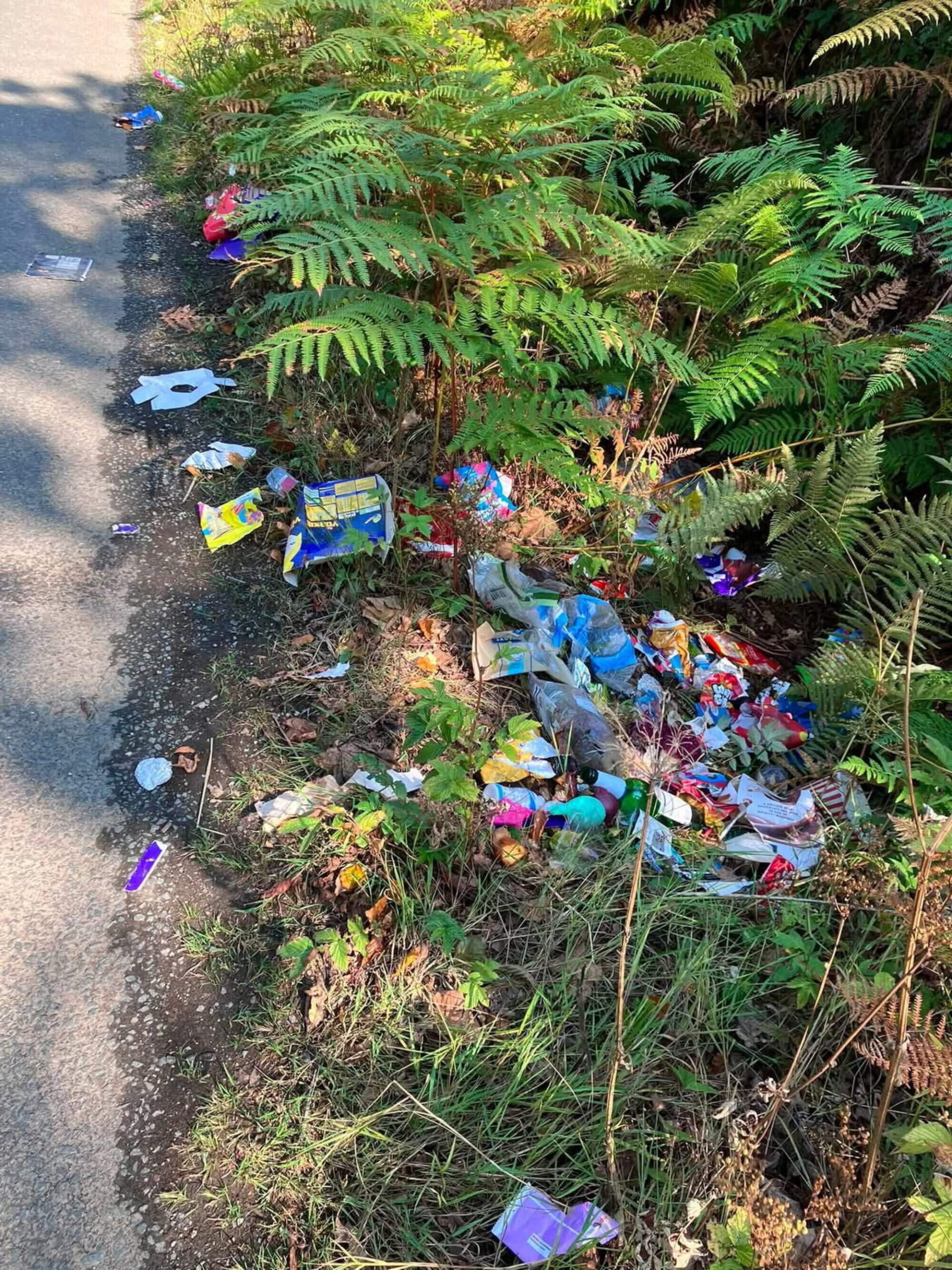 Tidy Towns group frustrated by illegal dumping of Easter eggs packaging in quiet Wexford village