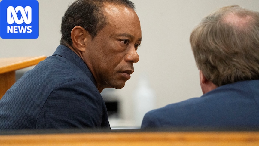 Tiger Woods loses driving licence for five years after plea deal