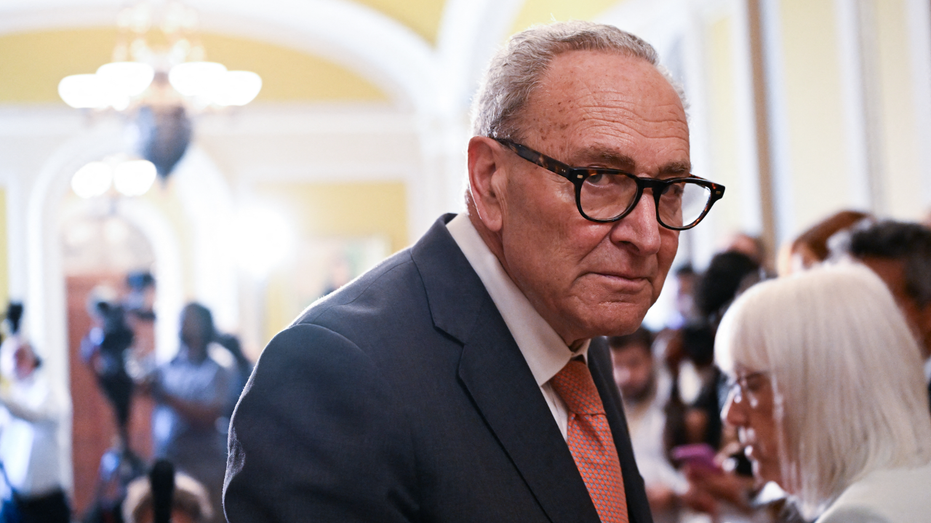 Top GOP senator reveals what Dem colleagues are fretting about behind closed doors
