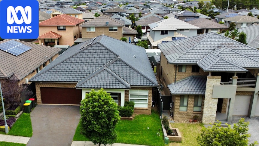Trading 'woke palaces' for 'basic' homes reduces cost but comes with drawbacks