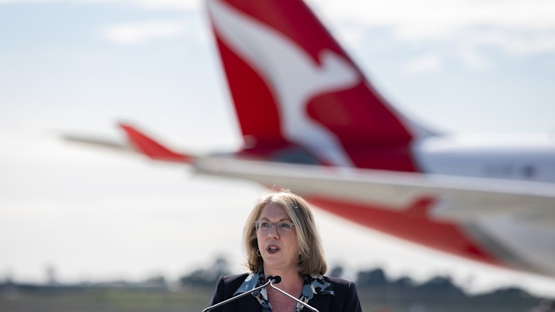 Transport minister accepts lifetime membership to Qantas platinum
