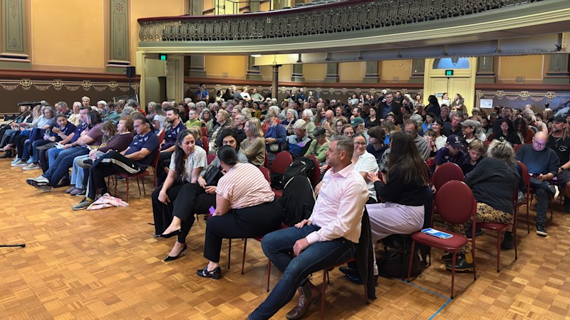 Tree canopy vs junior footy: Freo community clashes over plan to chop 26 trees
