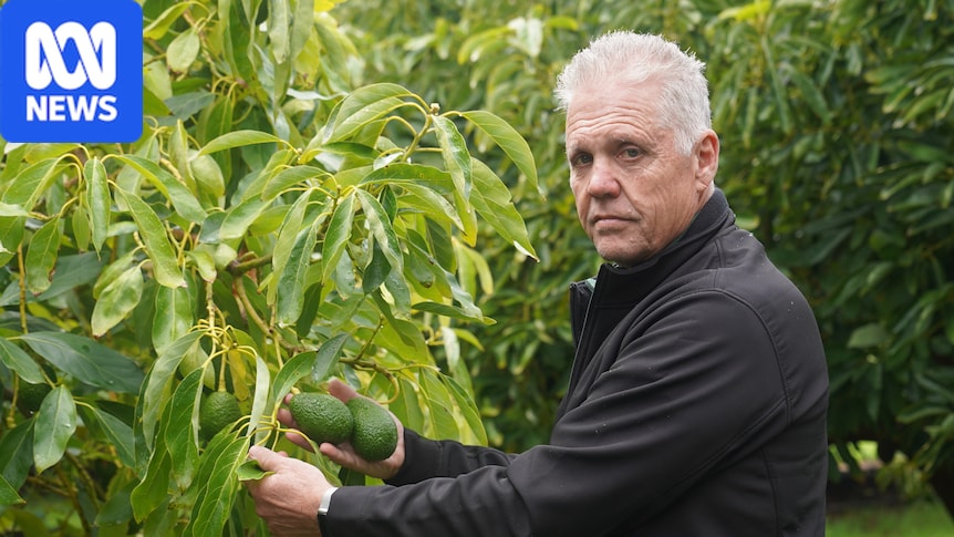 Tree-killing beetle still poses major threat, as bird flu takes centre stage