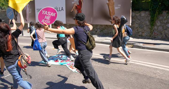 Turkish authorities launch crackdown on LGBTQ+, HIV support groups