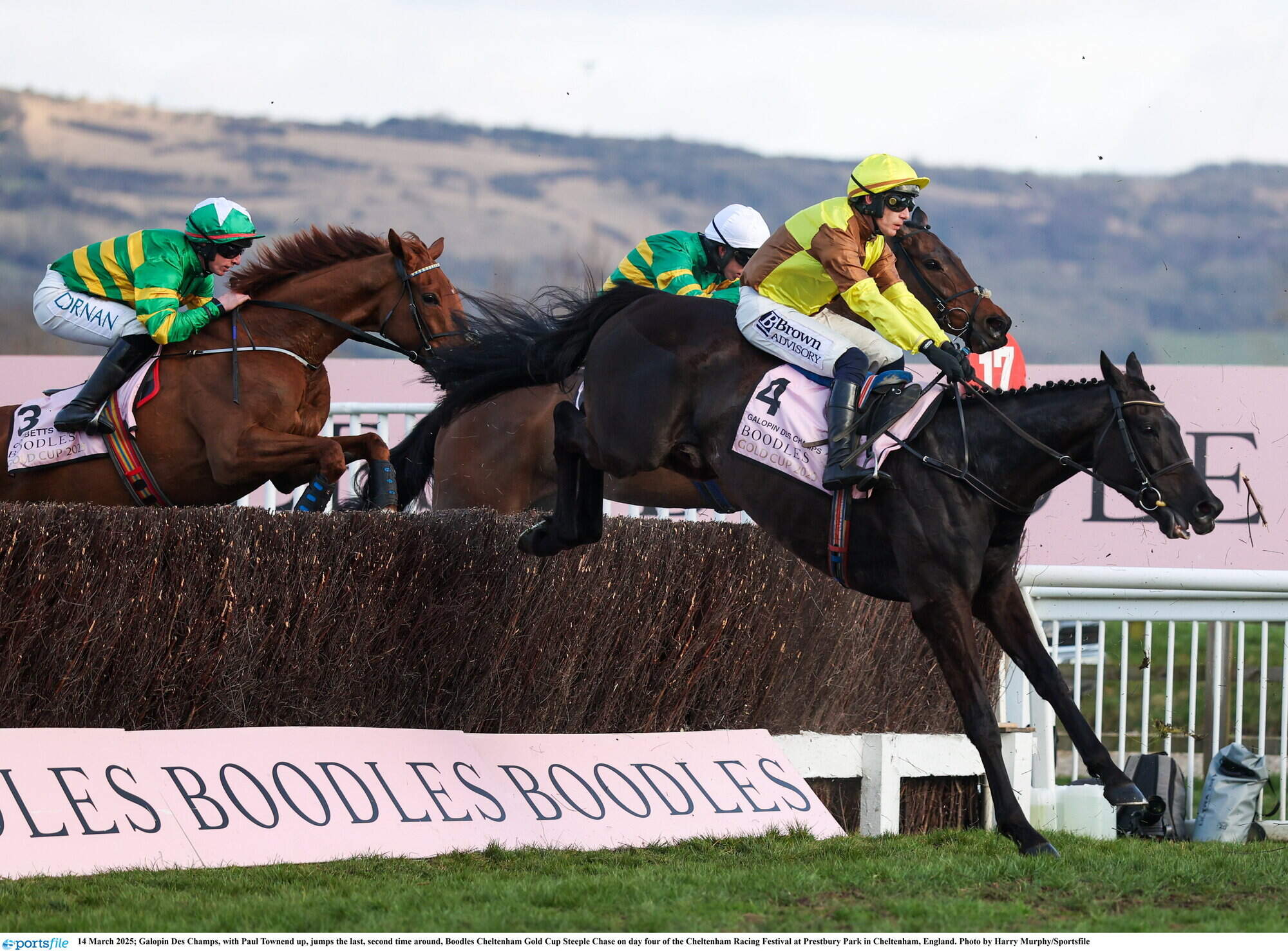 Two-time Cheltenham Gold Cup winner Galopin Des Champs dies less than a week after being retired