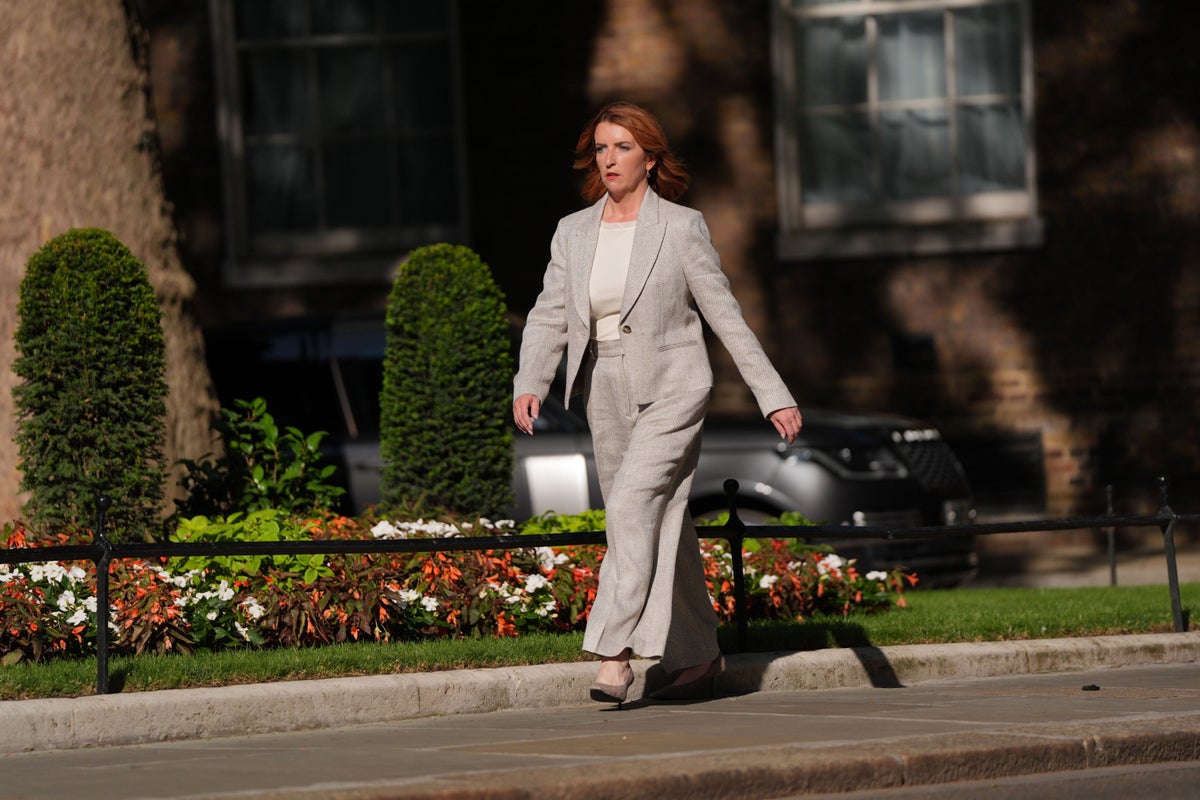 UK will ‘heed the warnings’ about AI risks, senior minister Louise Haigh to say