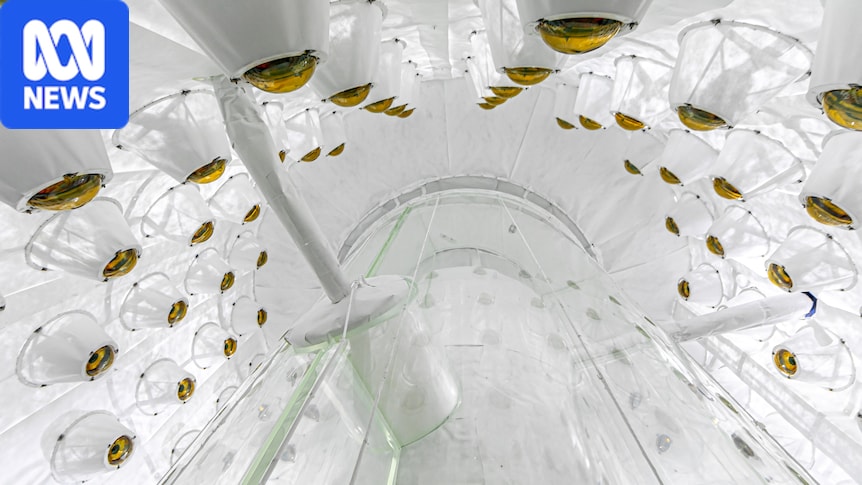 'Uncharted territory': Physicists find hints of mysterious dark matter
