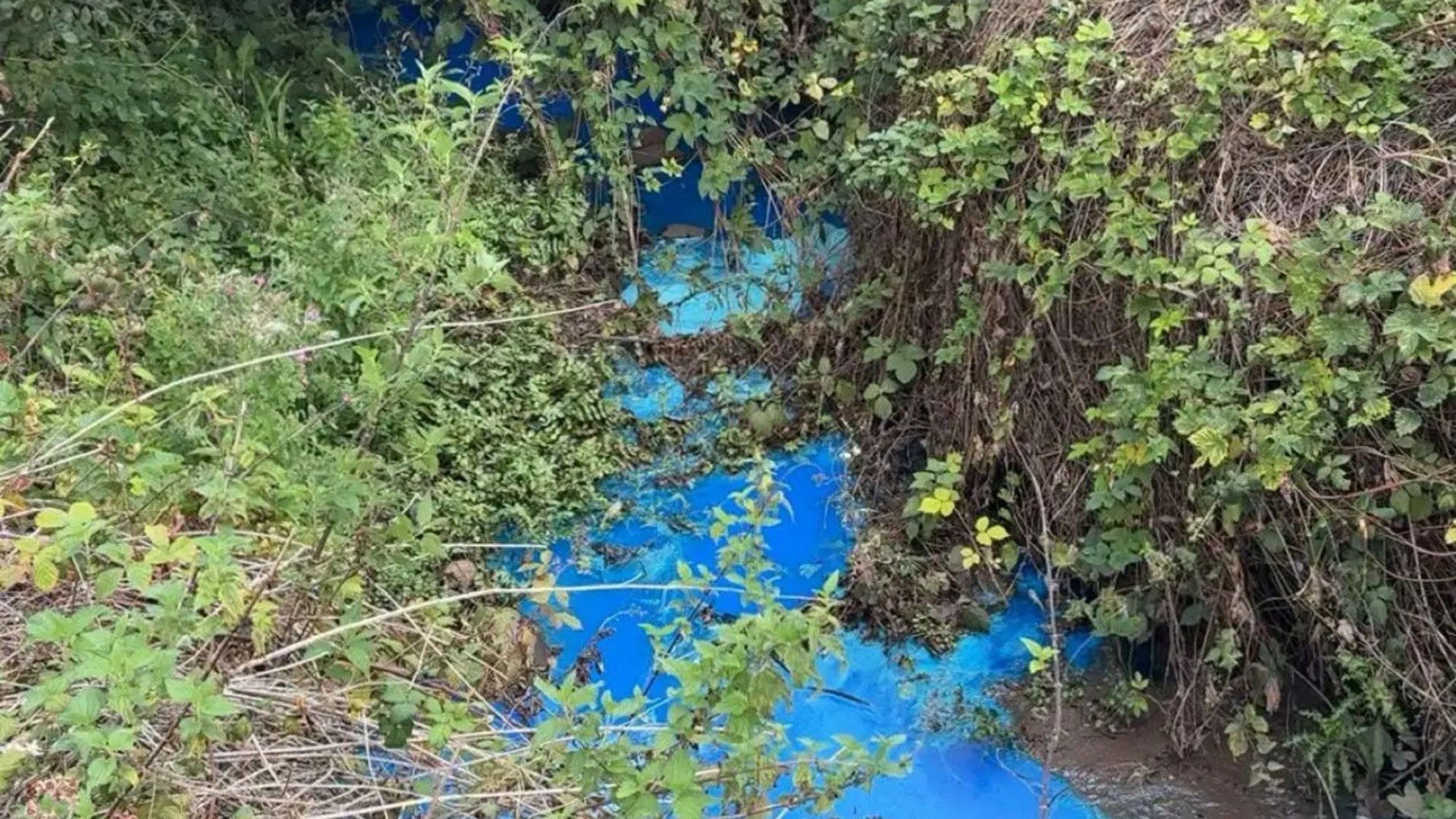 Urgent ‘do not swim’ warning issued at popular UK beach after mystery substance turns water bright blue
