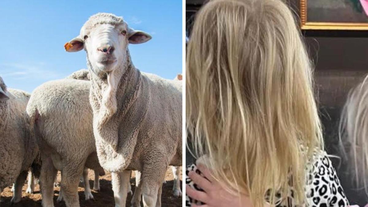 Victorian petting zoo breaks silence after 3yo dies after contracting rare infection