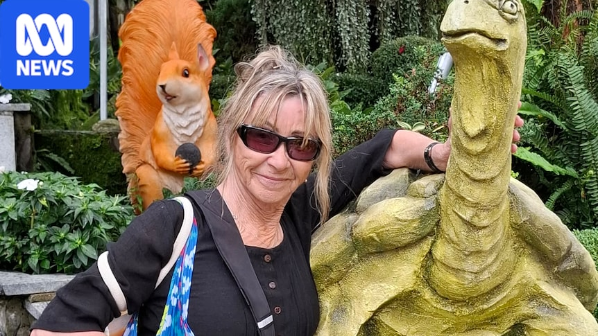 Vietnam wants to grow dental tourism. It has Australian dentists worried