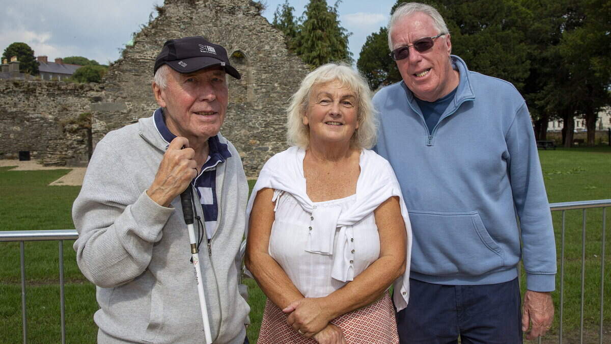 Visually impaired group warns shifting Dart dates risk undermining public confidence in Wicklow town project