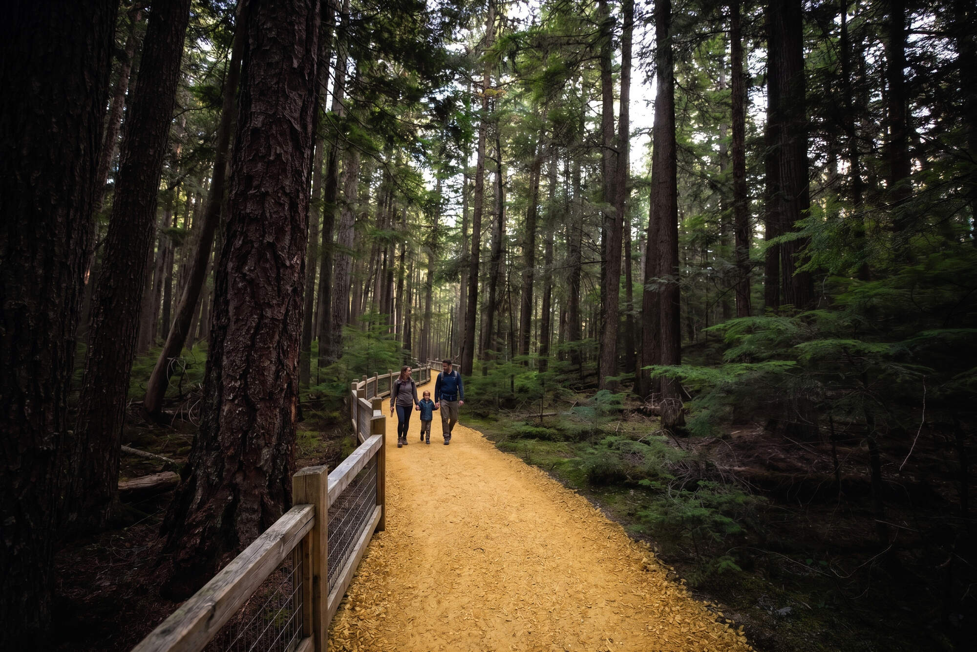 Walking trail linking two rural Wexford communities will be ‘the biggest thing to happen in the parish, ever’