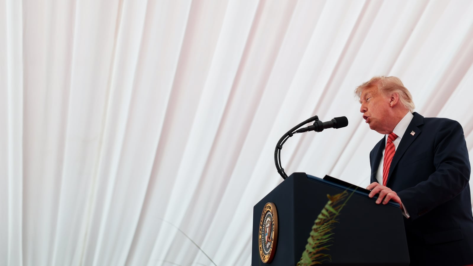 Watch: Trump jokes friendly Irish are 'vicious bastards'
