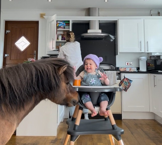 We’re raising our toddler on a farm — she thinks having a pony at breakfast is normal