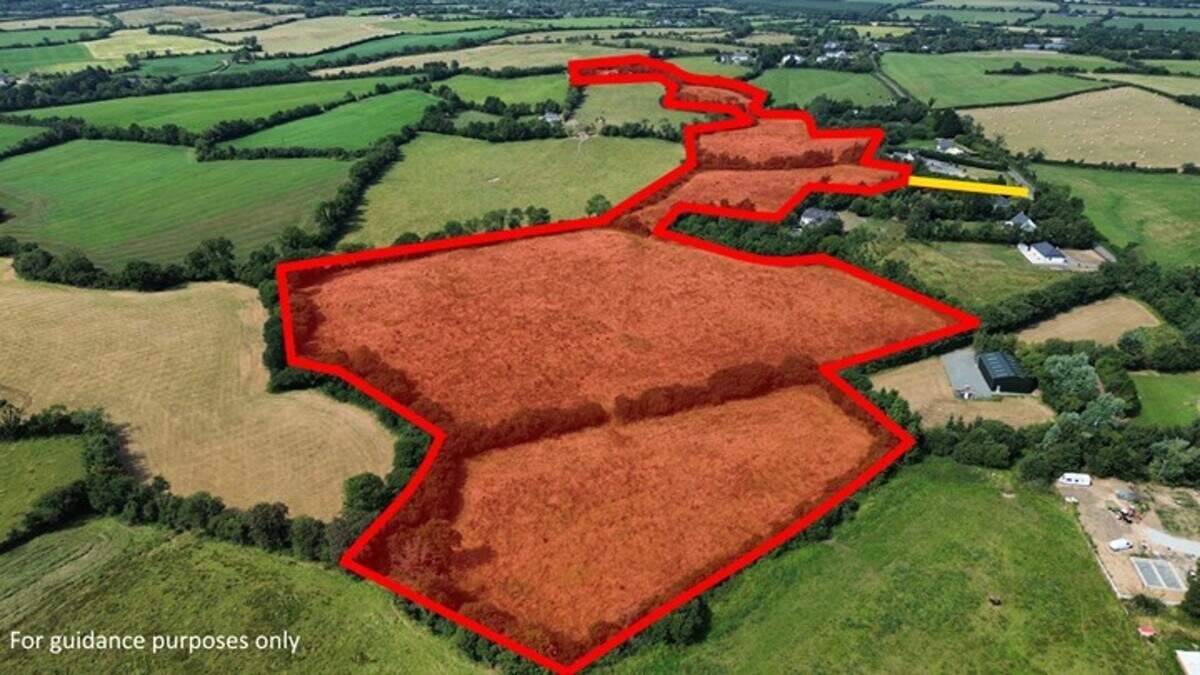 Wexford farmland with 22-acres of grasslands sells for €380,000 at online auction