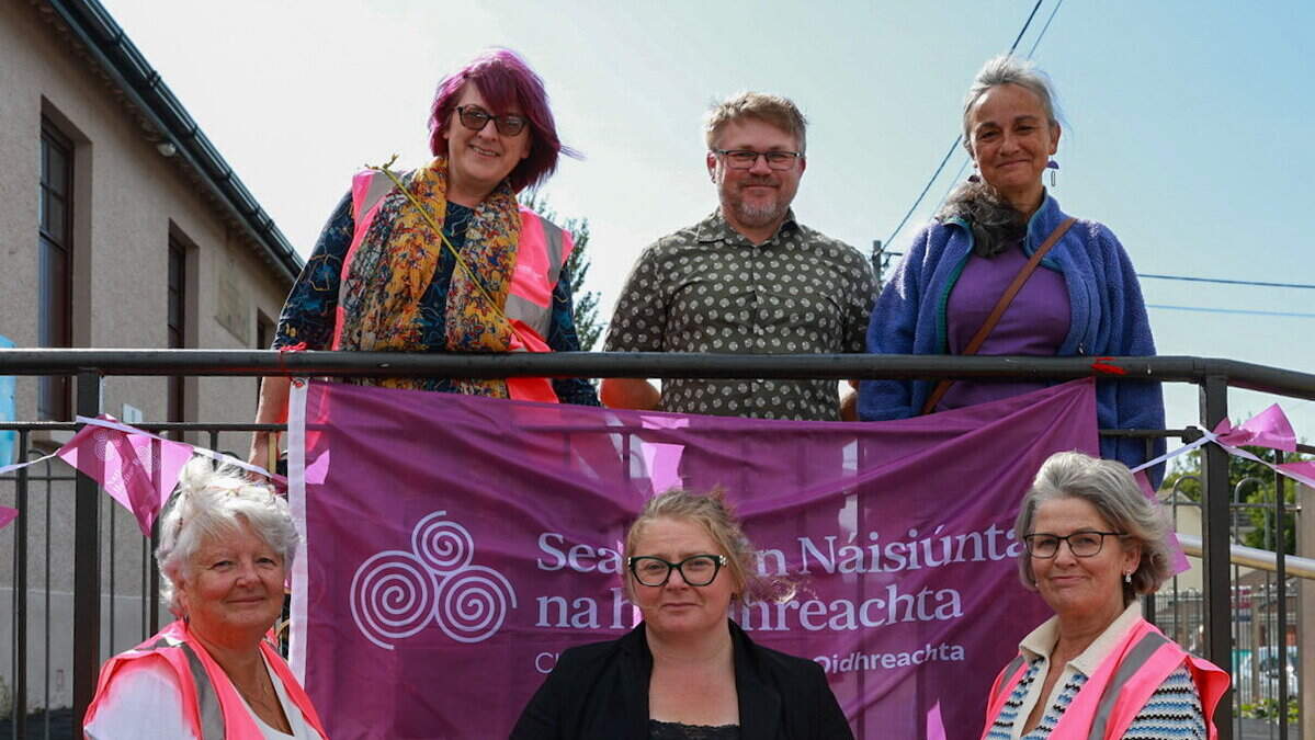 Wexford locals take a trip down memory lane as they unveil progress on heritage audit