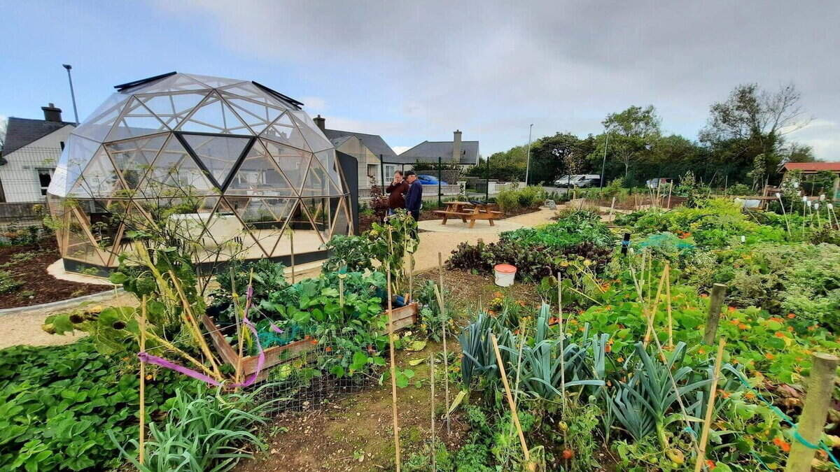 Wexford secures two nominations on the coveted long-list of Ireland’s Greenest Places