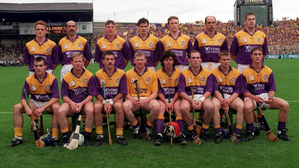 Wexford's All-Ireland SHC win of 1996: remembering a special day, 30 years later