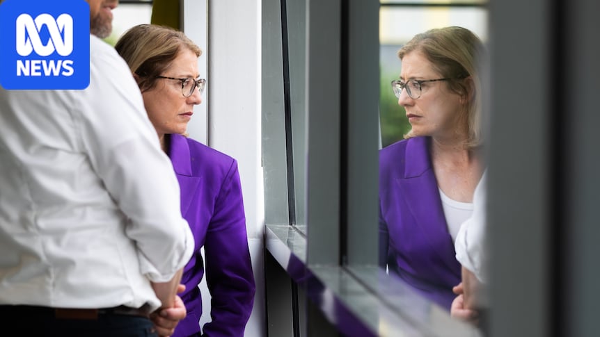 What Labor's safe seat loss to One Nation means for Australian politics