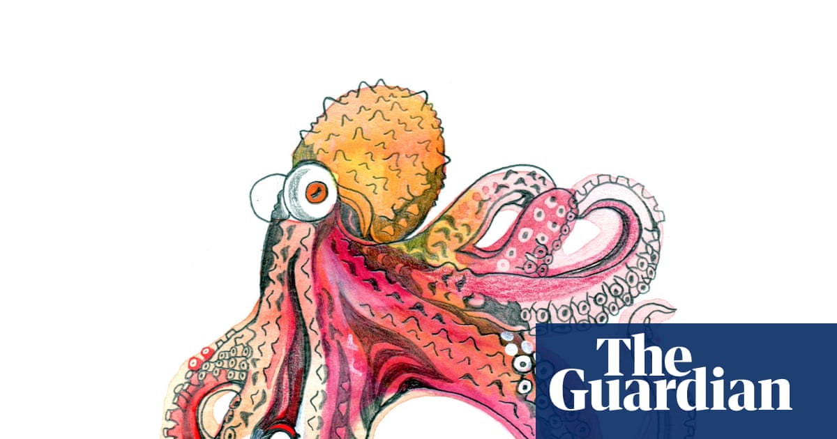 What colour is octopus’s blood and how heavy is the sky? The kids’ quiz