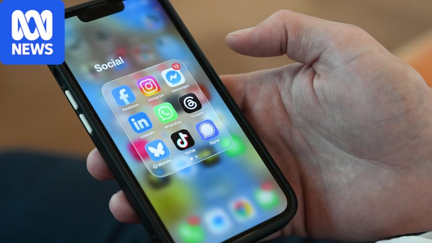What could your social media feeds look like without the algorithm?