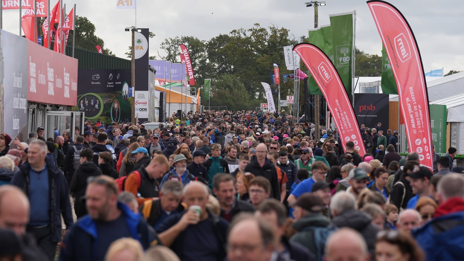 What to expect at the National Ploughing Championships?