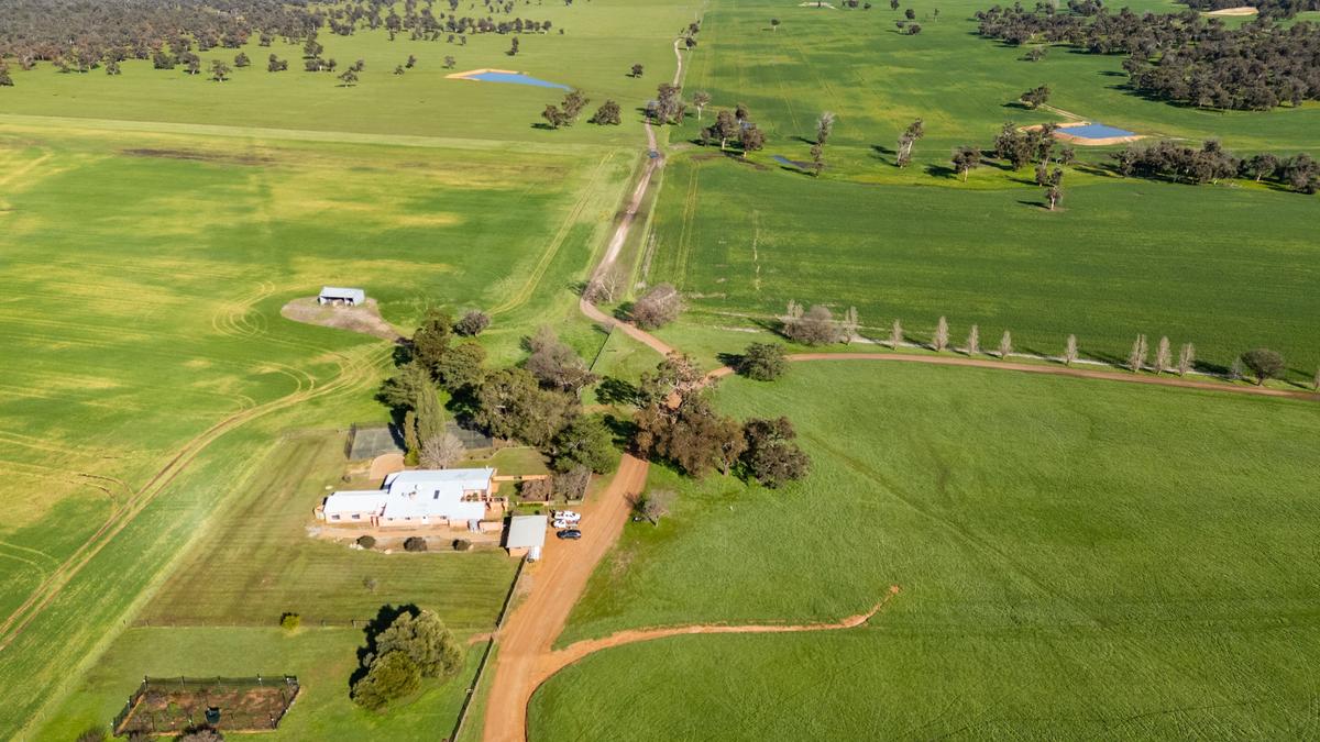 Wheatbelt farm draws carbon offset interest