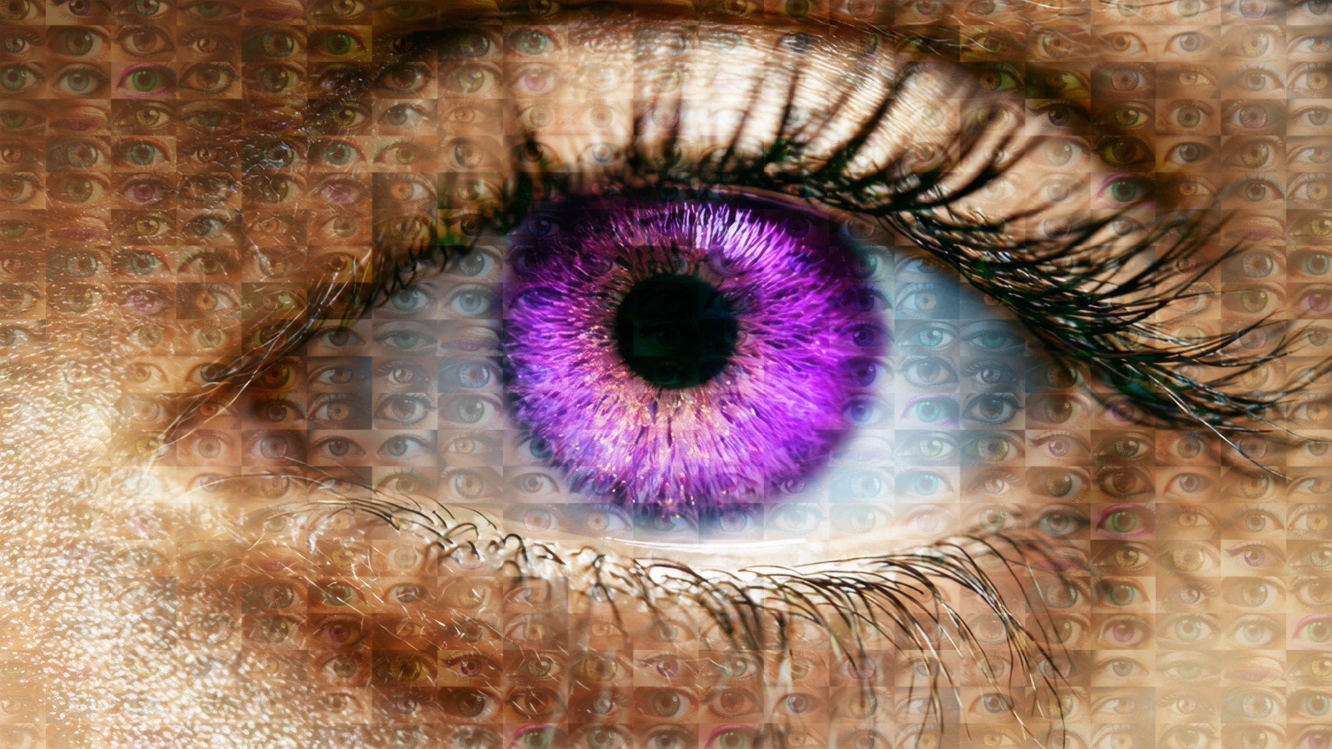 When does Big Brother 2026 finish? End date and schedule for new series
