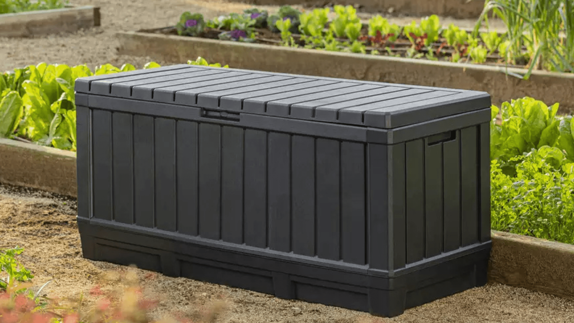 Why everyone’s raving about Argos’ ‘excellent’ £70 garden storage solution
